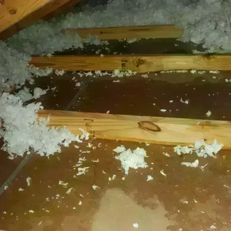 Attic Water Damage in Wyandotte, MI