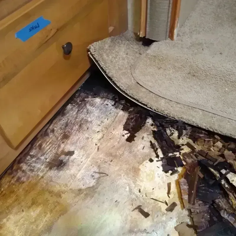 Wood Floor Water Damage in Wyandotte, MI